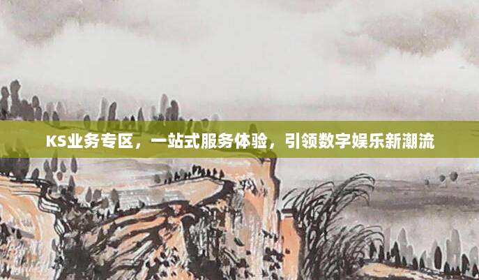 KS业务专区，一站式服务体验，引领数字娱乐新潮流