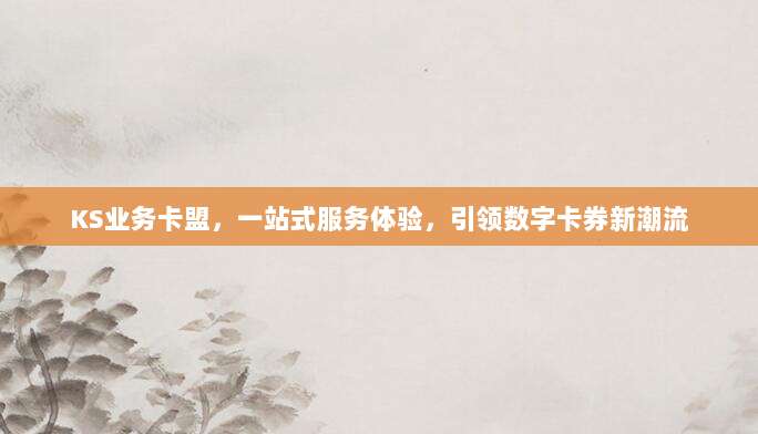 KS业务卡盟，一站式服务体验，引领数字卡券新潮流