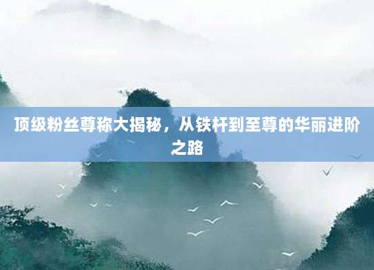 顶级粉丝尊称大揭秘,从铁杆到至尊的华丽进阶之路