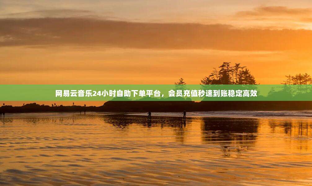 网易云音乐24小时自助下单平台，会员充值秒速到账稳定高效