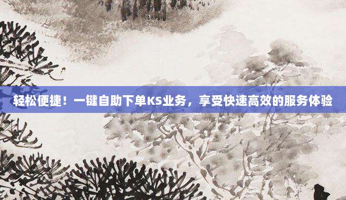 轻松便捷!一键自助下单KS业务,享受快速高效的服务体验
