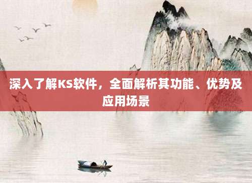 深入了解KS软件，全面解析其功能、优势及应用场景