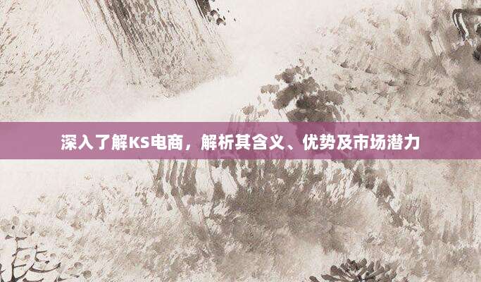 深入了解KS电商,解析其含义、优势及市场潜力