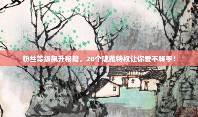粉丝等级飙升秘籍，20个隐藏特权让你爱不释手！