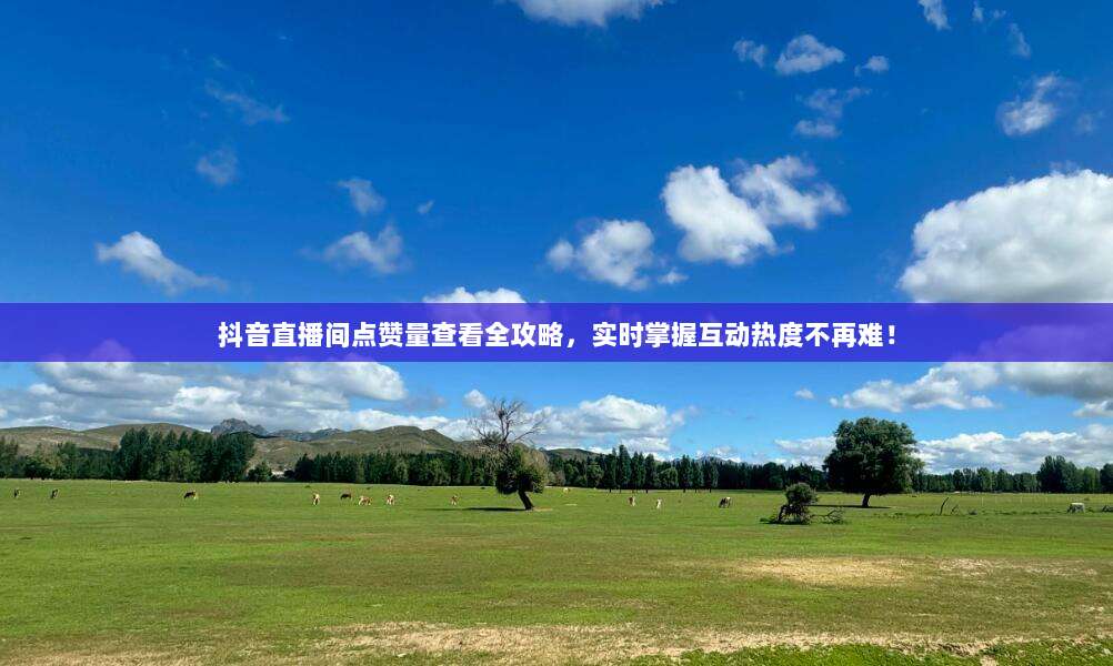 抖音直播间点赞量查看全攻略，实时掌握互动热度不再难！