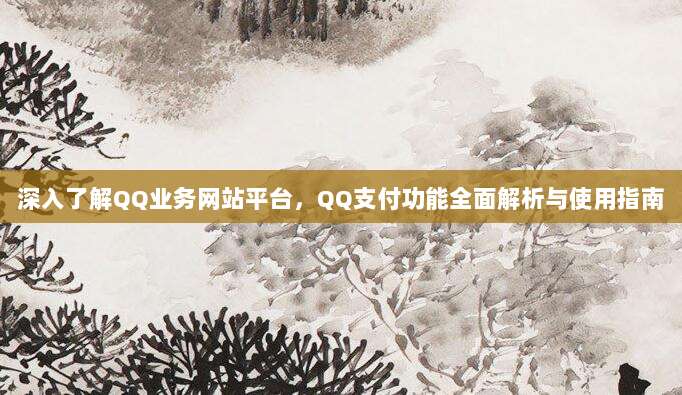 深入了解QQ业务网站平台,QQ支付功能全面解析与使用指南