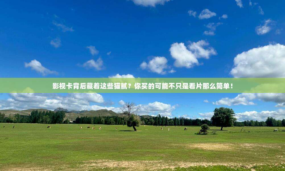 影视卡背后藏着这些猫腻?你买的可能不只是看片那么简单!
