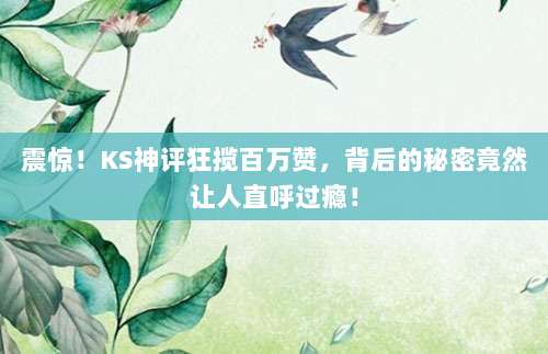 震惊！KS神评狂揽百万赞，背后的秘密竟然让人直呼过瘾！