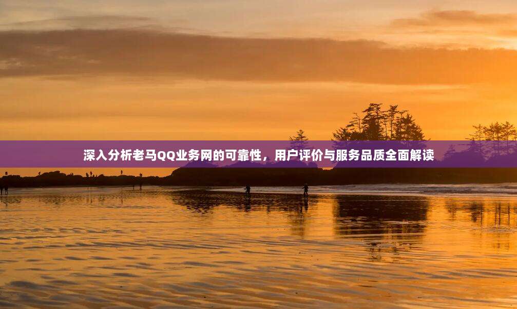深入分析老马QQ业务网的可靠性,用户评价与服务品质全面解读