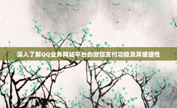 深入了解QQ业务网站平台的微信支付功能及其便捷性