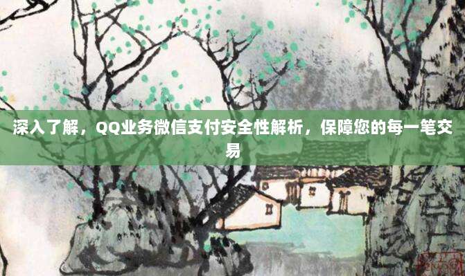深入了解,QQ业务微信支付安全性解析,保障您的每一笔交易