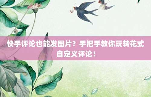 快手评论也能发图片？手把手教你玩转花式自定义评论！