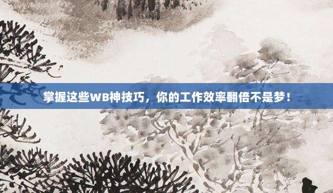 掌握这些WB神技巧，你的工作效率翻倍不是梦！