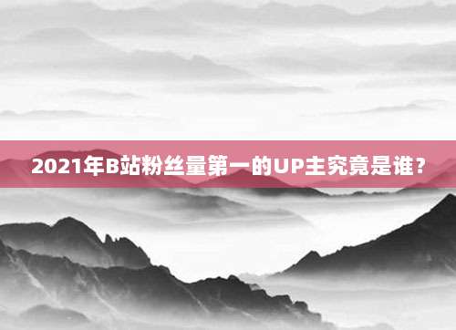 2021年B站粉丝量第一的UP主究竟是谁?