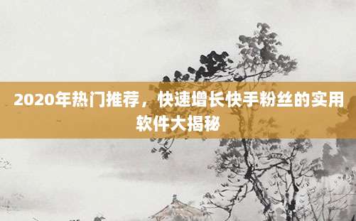 2020年热门推荐,快速增长快手粉丝的实用软件大揭秘