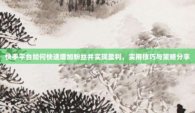 快手平台如何快速增加粉丝并实现盈利，实用技巧与策略分享