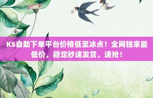 KS自助下单平台价格低至冰点！全网独家最低价，稳定秒速发货，速抢！