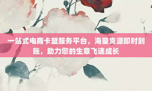 一站式电商卡盟服务平台,海量资源即时到账,助力您的生意飞速成长