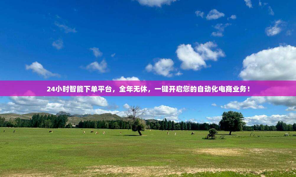 24小时智能下单平台，全年无休，一键开启您的自动化电商业务！