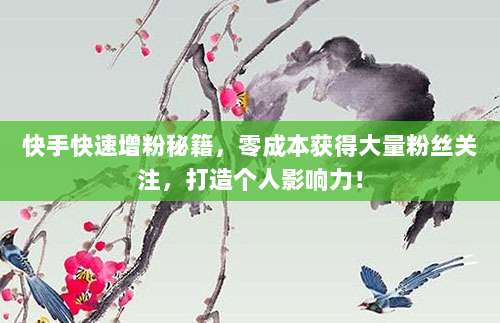 快手快速增粉秘籍,零成本获得大量粉丝关注,打造个人影响力!