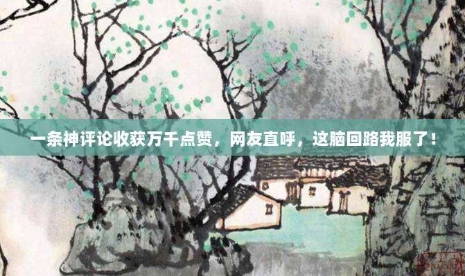 一条神评论收获万千点赞，网友直呼，这脑回路我服了！