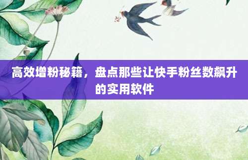 高效增粉秘籍,盘点那些让快手粉丝数飙升的实用软件