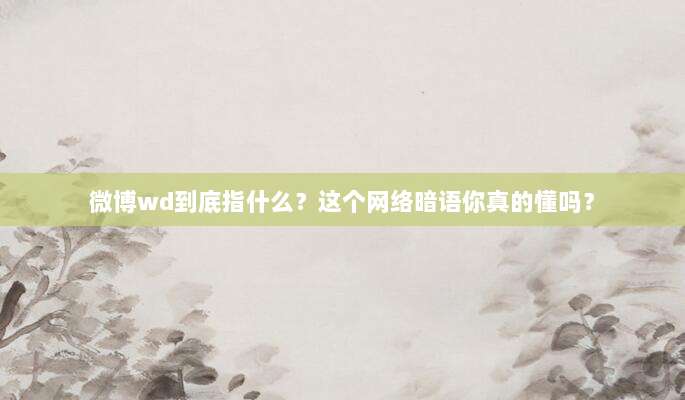 微博wd到底指什么？这个网络暗语你真的懂吗？