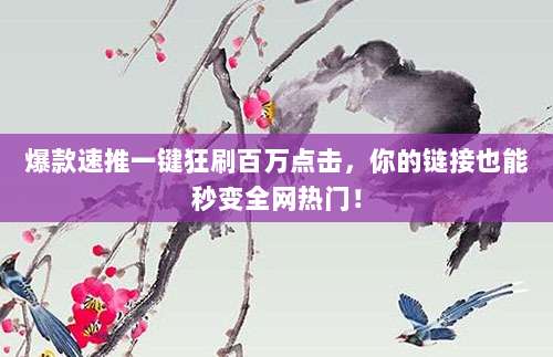 爆款速推一键狂刷百万点击，你的链接也能秒变全网热门！