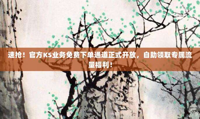 速抢！官方KS业务免费下单通道正式开放，自助领取专属流量福利！