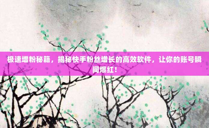 极速增粉秘籍，揭秘快手粉丝增长的高效软件，让你的账号瞬间爆红！