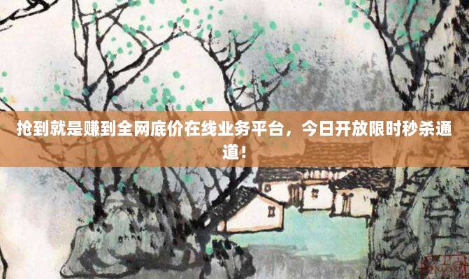 抢到就是赚到全网底价在线业务平台，今日开放限时秒杀通道！