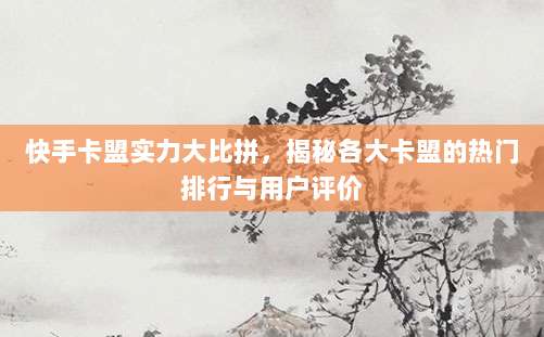 快手卡盟实力大比拼,揭秘各大卡盟的热门排行与用户评价