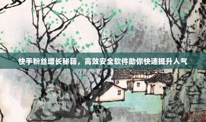快手粉丝增长秘籍，高效安全软件助你快速提升人气
