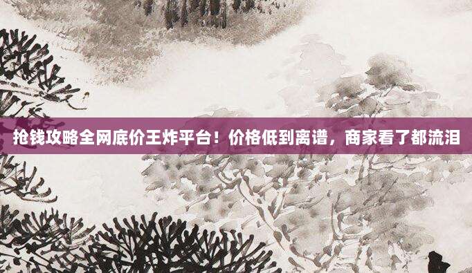 抢钱攻略全网底价王炸平台！价格低到离谱，商家看了都流泪