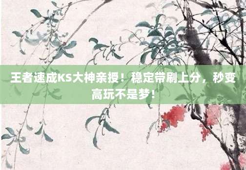 王者速成KS大神亲授！稳定带刷上分，秒变高玩不是梦！