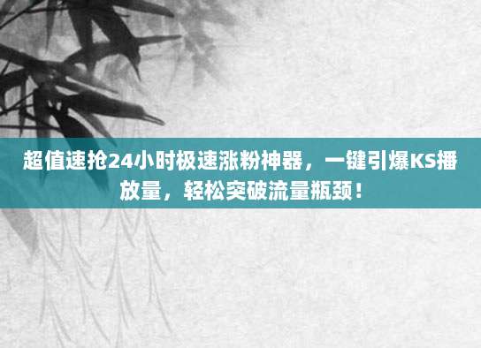 超值速抢24小时极速涨粉神器，一键引爆KS播放量，轻松突破流量瓶颈！
