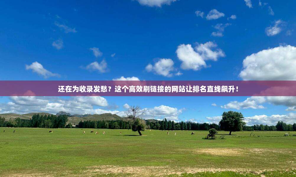 还在为收录发愁？这个高效刷链接的网站让排名直线飙升！