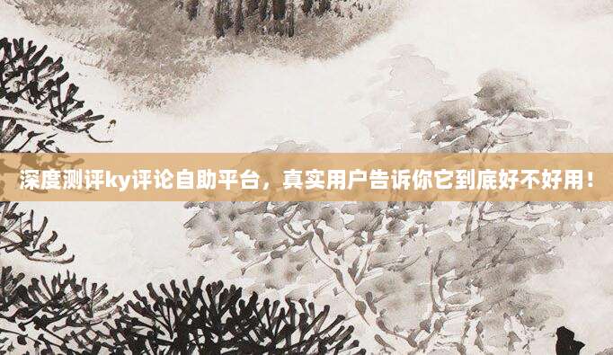 深度测评ky评论自助平台，真实用户告诉你它到底好不好用！