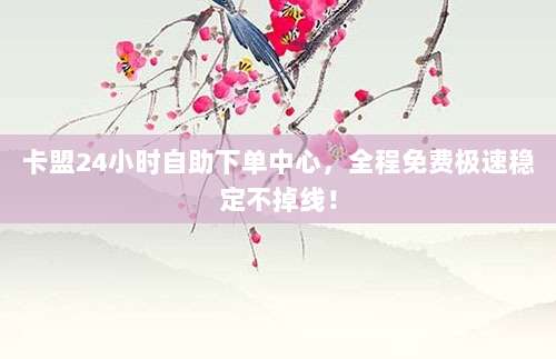 卡盟24小时自助下单中心，全程免费极速稳定不掉线！