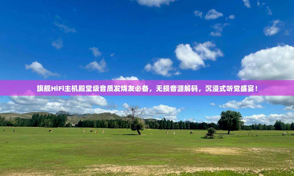 旗舰HiFi主机殿堂级音质发烧友必备，无损音源解码，沉浸式听觉盛宴！