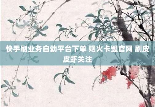 快手刷业务自动平台下单 姻火卡盟官网 刷皮皮虾关注