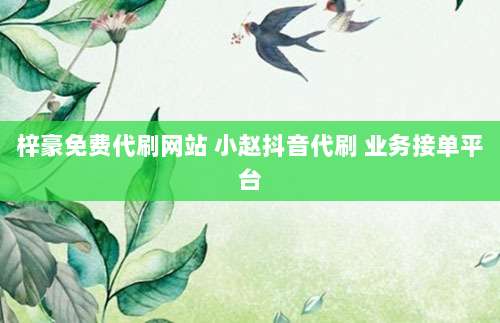 梓豪免费代刷网站 小赵抖音代刷 业务接单平台