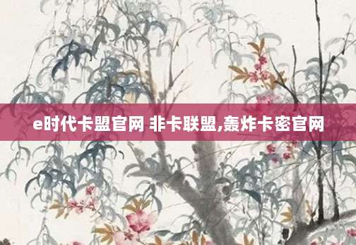 e时代卡盟官网 非卡联盟,轰炸卡密官网